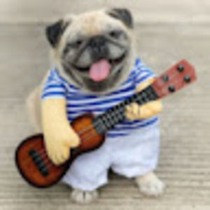 Meet your Posher, Evelyn